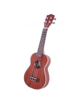 Other stringed instruments